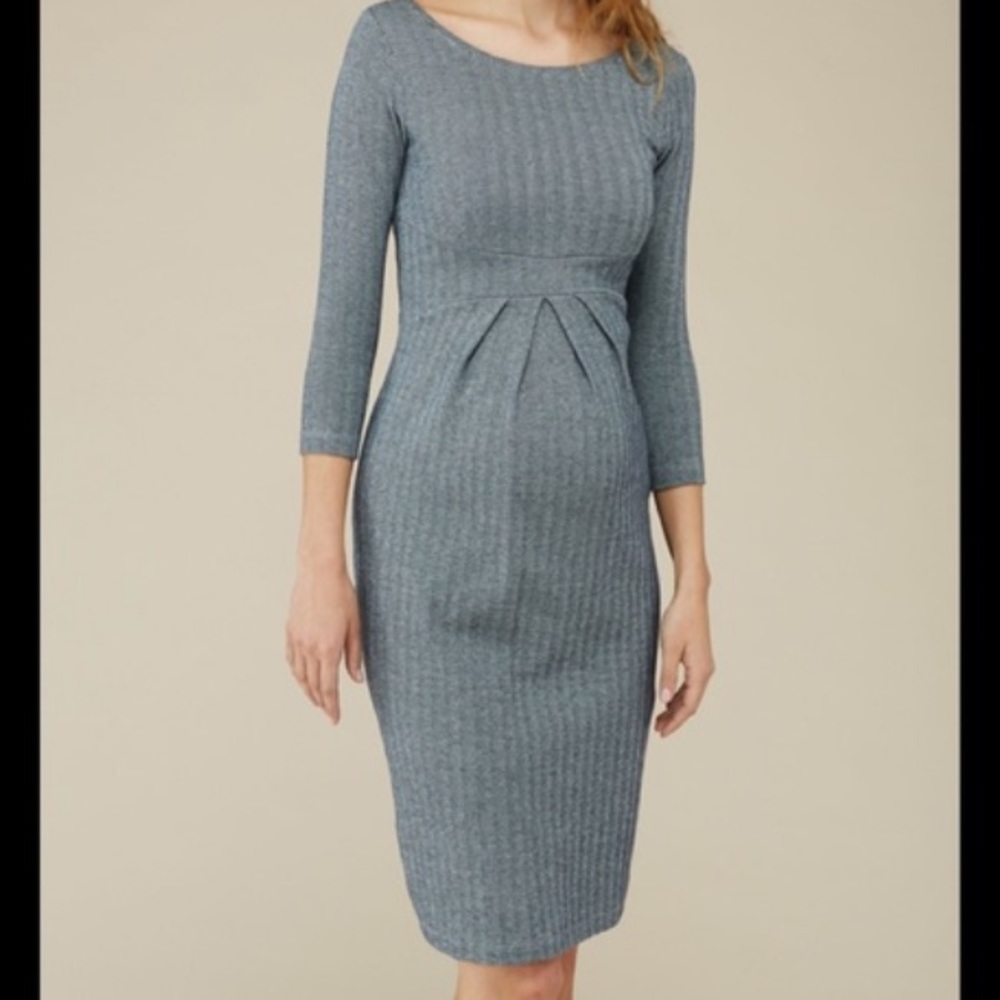 Isabella Oliver Maternity Dress NWT